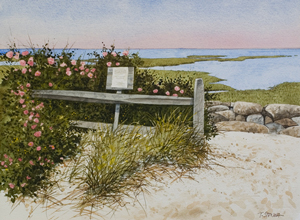 Struna Galleries of Brewster and Chatham, Cape Cod Paintings of New England and Cape Cod  - Bay Bouquet